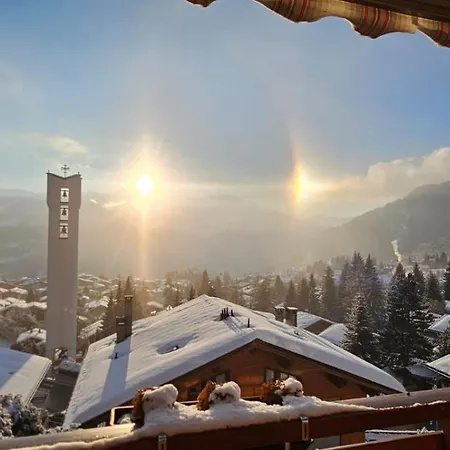 公寓 Le Rouge Superb 3-room Near Slopes & Ski-lift 韦尔比耶